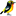 ˸W