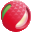 ֦W(wng)
